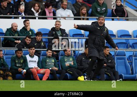 David Wagner, le Manager de Norwich City réagit sur la ligne de touche. Match de championnat EFL Skybet, Cardiff City contre Norwich City au Cardiff City Stadium à Cardiff, pays de Galles, le samedi 11 novembre 2023. Cette image ne peut être utilisée qu'à des fins éditoriales. À usage éditorial uniquement, photo d'Andrew Orchard/Andrew Orchard photographie sportive/Alamy Live news Banque D'Images