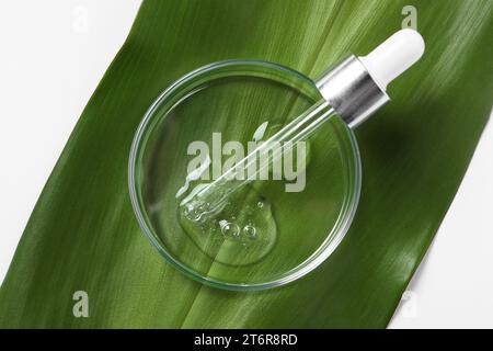 Boîte de Petri avec échantillon d'huile cosmétique, pipette et feuille verte sur fond blanc, vue de dessus Banque D'Images
