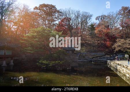 Un voyage dans le « jardin secret » à l'intérieur du palais de Changdeokgung à Séoul, Corée du Sud. Arrivé à l'automne 2022. Banque D'Images