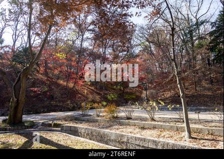 Un voyage dans le « jardin secret » à l'intérieur du palais de Changdeokgung à Séoul, Corée du Sud. Arrivé à l'automne 2022. Banque D'Images