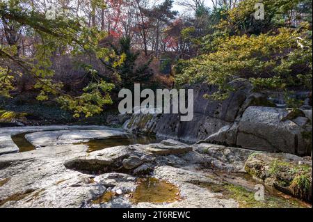 Un voyage dans le « jardin secret » à l'intérieur du palais de Changdeokgung à Séoul, Corée du Sud. Arrivé à l'automne 2022. Banque D'Images