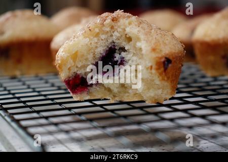 Gros plan d'un muffin aux myrtilles avec une bouchée retirée. Banque D'Images