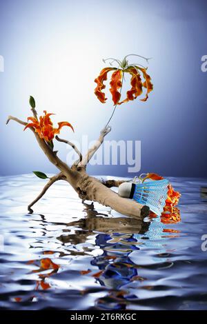 Arrière-plans de présentation des produits, arrière-plan des photos de produits, arrière-plans des photos de produits, arrière-plans de publicité des produits Banque D'Images