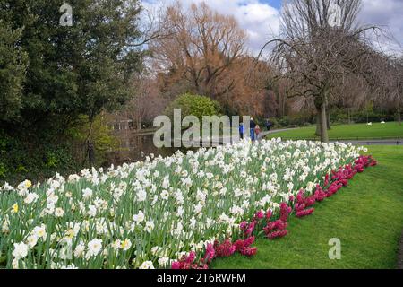 Parc avec fleurs printanières, St. Stephen's Green à Dublin Banque D'Images