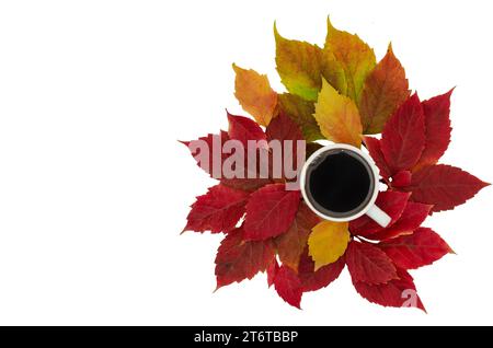 La tasse se dresse sur un fond blanc, des feuilles sont dispersées autour d'elle. Feuilles de différentes couleurs : jaune, orange, rouge. Ils ont l'air secs et croustillants. Le c Banque D'Images