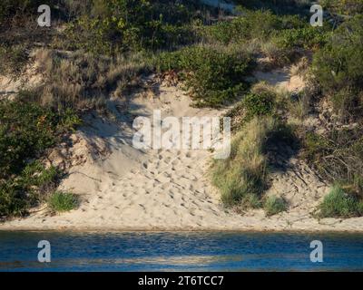 Empreintes de pas dans le sable sur une pente menant à l'eau, l'océan Inlet, Forster NSW Australie Banque D'Images