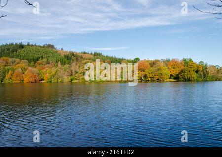 Castlewellan, County Down, Irlande du Nord, lac bordé d'arbres aux couleurs automnales, idéal pour la randonnée, le vélo, le kayak et les pique-niques en famille Banque D'Images