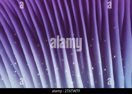Champignon psilocybine frais, vue macro. Branchies de champignon magique avec des étoiles, couleur tonique Banque D'Images