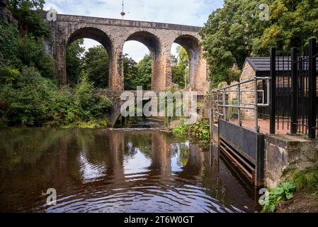 Le Torrs Riverside Park à New Mills, Derbyshire, Angleterre. Le Torrs Hydro vu à droite de la photo. Banque D'Images