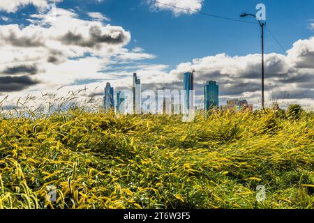 Le St. Regis Chicago s’élève au-dessus de l’horizon urbain au-delà d’une prairie d’herbes sauvages sur Lower East Randolph Street. Achevé en 2020 et mesurant 365 mètres de hauteur, le gratte-ciel conçu par l’architecte Jeanne Gang est considéré comme le plus haut bâtiment du monde conçu par une femme. Une grue de construction s’élève à côté d’un immeuble voisin contre le ciel nuageux, un lampadaire se tient au bord de la prairie. Chicago, États-Unis. Banque D'Images