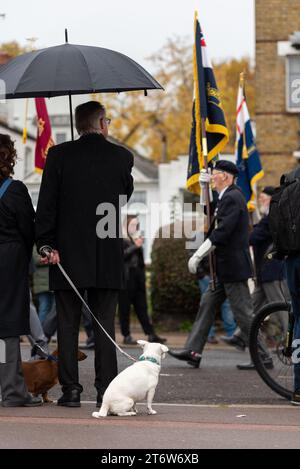 Clifftown Parade, Southend on Sea, Essex, Royaume-Uni. 12 novembre 2023. Un service du jour du souvenir a eu lieu au monument commémoratif de guerre de Southend conçu par Sir Edwin Lutyens au-dessus du front de mer de Southend on Sea, avec des bandes, cadets et associations locales marchant vers le cénotaphe et retour, en passant des dignitaires au retour. Porte-drapeau d'observation de chiens Banque D'Images