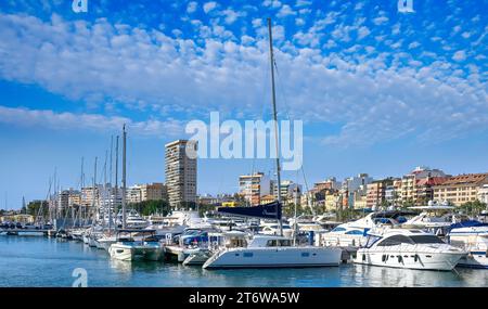 Alicante, Espagne, les yachts privés modernes sont amarrés dans la marina de la ville. L'horizon urbain et le paysage urbain sont en arrière-plan. Banque D'Images