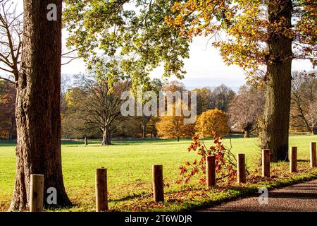 Dundee, Tayside, Écosse, Royaume-Uni. 12 novembre 2023. Météo britannique : belles scènes d'automne au Dundee Camperdown Country Park en Écosse. Crédit : Dundee Photographics/Alamy Live News Banque D'Images