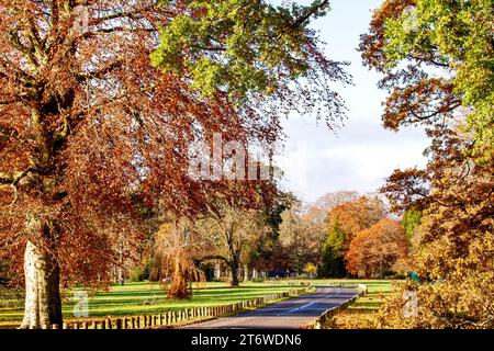 Dundee, Tayside, Écosse, Royaume-Uni. 12 novembre 2023. Météo britannique : belles scènes d'automne au Dundee Camperdown Country Park en Écosse. Crédit : Dundee Photographics/Alamy Live News Banque D'Images