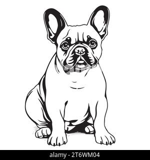 Croquis dessiné à la main de bulldog français dans le livre de coloriage de style comique, animaux de compagnie Illustration de Vecteur