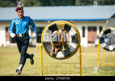 12 novembre 2023, Katmandou, Népal : un maître-chien de la police népalaise avec son chien montre des compétences de dressage lors d'une journée de culte du chien qui est célébrée dans le cadre du festival Tihar. Tihar est le deuxième plus grand festival du Népal qui est consacré à différents animaux ou objets de culte, y compris les vaches et les chiens. Le festival célèbre la relation puissante entre les humains, les dieux et les animaux. (Image de crédit : © Prabin Ranabhat/SOPA Images via ZUMA Press Wire) USAGE ÉDITORIAL SEULEMENT! Non destiné à UN USAGE commercial ! Banque D'Images