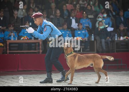 Un maître-chien de la police népalaise avec son chien montre des compétences de dressage lors d'une journée de culte du chien qui est célébrée dans le cadre du festival Tihar. Tihar est le deuxième plus grand festival du Népal qui est consacré à différents animaux ou objets de culte, y compris les vaches et les chiens. Le festival célèbre la relation puissante entre les humains, les dieux et les animaux. (Photo Prabin Ranabhat / SOPA Images/Sipa USA) Banque D'Images