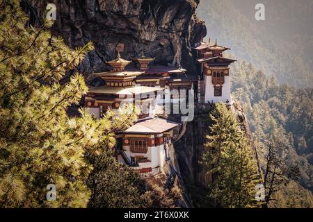 Le monastère de Taktsang Palphug ou le nid des tigres près de Paro, Bhoutan s'accroche à une falaise de montagne. Banque D'Images