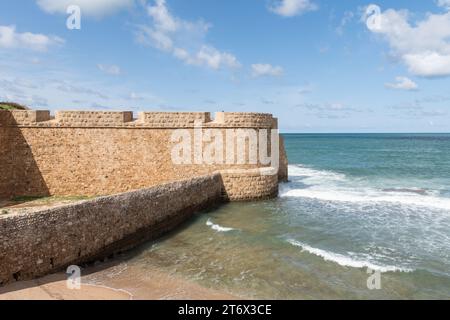 Une section des fortifications du mur de pierre qui encerclent des parties de la ville d'Acre, le long de la baie de Haïfa sur la côte méditerranéenne d'Israël. Banque D'Images