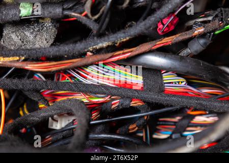 Un câble de fils matés de différentes couleurs avec des connecteurs dans le câblage électrique de la voiture. Ligne Internet dans le travail du fournisseur. Banque D'Images