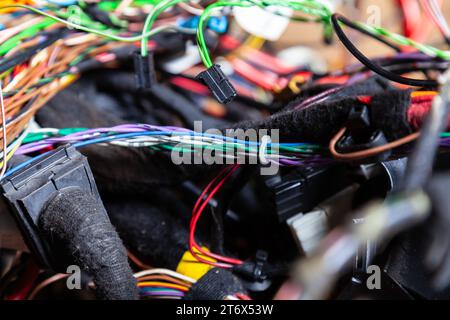 Un câble de fils matés de différentes couleurs avec des connecteurs dans le câblage électrique de la voiture. Ligne Internet dans le travail du fournisseur. Banque D'Images