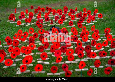 Chalfont St Peter, Royaume-Uni. 12 novembre 2023. Une mer de coquelicots tricotés. Des centaines de personnes ont envahi les rues de Chalfont St Peter dans le Buckinghamshire cet après-midi pour la parade annuelle du dimanche du souvenir et le dépôt de couronnes au monument aux morts. Sarah Green, députée de Chesham et Amersham, avec des membres de la Légion royale britannique, des forces armées, des Brownies, des Scouts, des Guides, les conseillers et d'autres organisations locales déposèrent des couronnes au Mémorial de guerre, à côté de l'église paroissiale. Le Chesham All Girls Band a mené le défilé à travers la ville. Crédit : Maureen McLean/Alamy Live News Banque D'Images