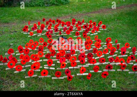 Chalfont St Peter, Royaume-Uni. 12 novembre 2023. Une mer de coquelicots tricotés. Des centaines de personnes ont envahi les rues de Chalfont St Peter dans le Buckinghamshire cet après-midi pour la parade annuelle du dimanche du souvenir et le dépôt de couronnes au monument aux morts. Sarah Green, députée de Chesham et Amersham, avec des membres de la Légion royale britannique, des forces armées, des Brownies, des Scouts, des Guides, les conseillers et d'autres organisations locales déposèrent des couronnes au Mémorial de guerre, à côté de l'église paroissiale. Le Chesham All Girls Band a mené le défilé à travers la ville. Crédit : Maureen McLean/Alamy Live News Banque D'Images