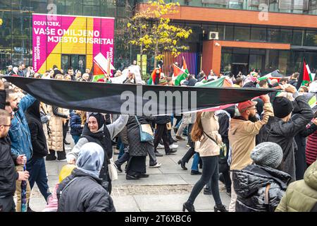 Des milliers de personnes se rassemblent à Sarajevo pour soutenir la Palestine Banque D'Images