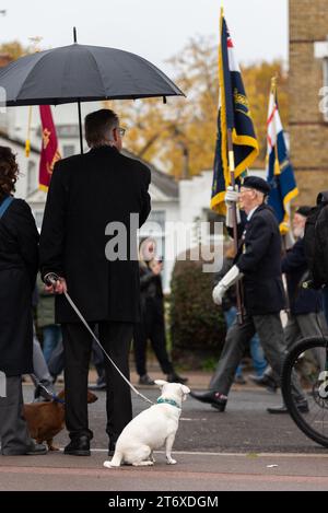 Chien observant un service du jour du souvenir à Southend on Sea, Essex, Royaume-Uni. Vétéran marchant avec drapeau Banque D'Images