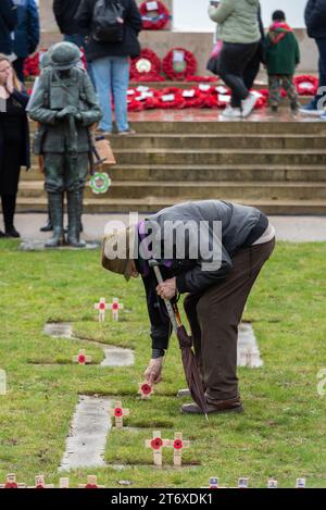 Personne principale plaçant une étoile hommage au souvenir de David après un service du jour du souvenir à Southend on Sea, Essex, Royaume-Uni Banque D'Images