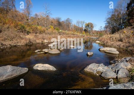 L'eau dans un ruisseau se déplace lentement parmi les rochers dans une scène d'automne avec des feuilles changeantes. Banque D'Images