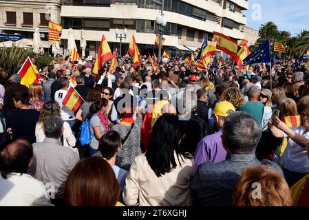 Tarragone, Espagne. 12 Novembre 2023. Les Manifestants Brandissent Des ...