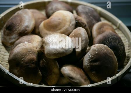 Les champignons Shiitake japonais ont cuisiné de la sauce tomate dans un stand de Street food à Tokyo. Banque D'Images