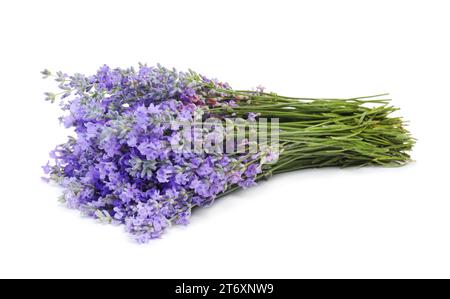 Bouquet de belles fleurs de lavande isolé sur blanc Banque D'Images