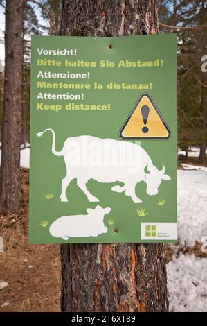 Panneau d'avertissement pour les bovins dans le parc naturel de Fanes-Senes-Braies, San Vigilio di Marebbe, Trentin-Haut-Adige, Italie Banque D'Images