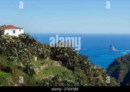 Montagnes Anaga et itinéraires de trekking Tenerife, Îles Canaries Banque D'Images