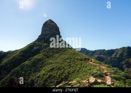 Montagnes Anaga et itinéraires de trekking Tenerife, Îles Canaries Banque D'Images
