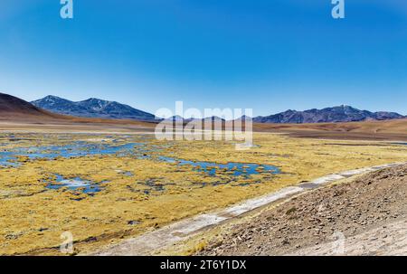 Magnifique paysage vu du point de vue de Putama, sur le chemin du retour à San Pedro de Atacama. Banque D'Images