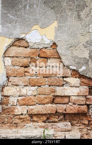 Mur de briques avec plâtre émiettant sur le vieux bâtiment. Banque D'Images