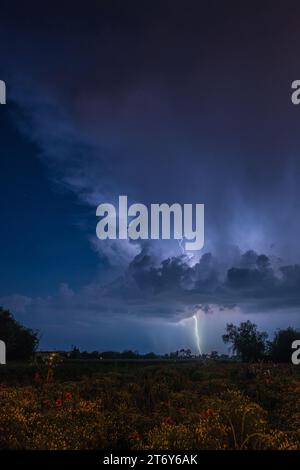 Le foudre frappe le sol au loin sur un champ de campagne. Orage nocturne avec un énorme coup de foudre frappant le sol au loin. Banque D'Images