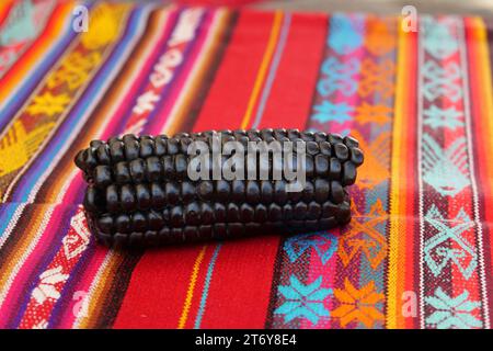 Gros plan de Maiz Morado, Purple Corn, Zea mays indurata, kʼculli ou Black Aztec Corn sur une nappe rouge péruvienne traditionnelle colorée Banque D'Images