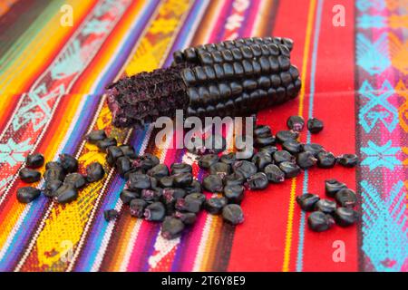 Gros plan de Maiz Morado, Purple Corn, Zea mays indurata, kʼculli ou Black Aztec Corn et grains de maïs sur un tableclo rouge péruvien traditionnel coloré Banque D'Images