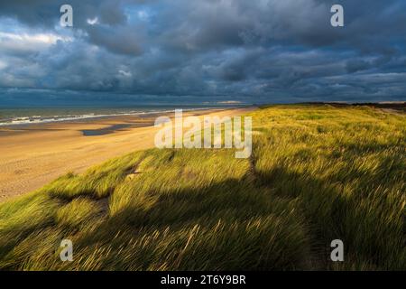 Dunes de sable avec plage et mer du Nord au coucher du soleil avec des nuages d'orage dramatiques, Ostende, Flandre, Belgique. Banque D'Images