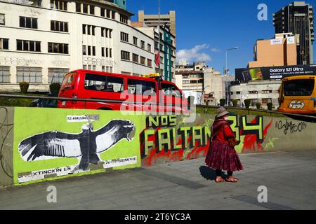 Murale protestant contre l'empoisonnement de 34 condors andins (Vultur gryphus, une espèce menacée et protégée) dans la région de Tarija au sud de la Bolivie, à la Paz, Bolivie. Banque D'Images