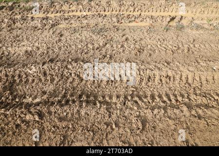 Voie de roue sur boue. Traces d'un tracteur ou d'une lourde voiture hors route sur boue brune dans un pré humide Banque D'Images