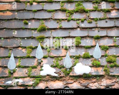 Coussins de mousse verte poussant sur un vieux toit recouvert de tuiles simples Banque D'Images