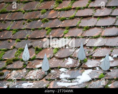 Coussins de mousse verte poussant sur un vieux toit recouvert de tuiles simples Banque D'Images