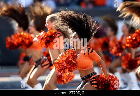 Cincinnati, États-Unis. 12 novembre 2023. Les cheerleaders des Bengals de Cincinnati encouragent l'équipe contre les Texans de Houston lors de la première mi-temps au Paycor Stadium le dimanche 12 novembre 2023 à Cincinnati. Ohio. Photo de John Sommers II/UPI crédit : UPI/Alamy Live News Banque D'Images