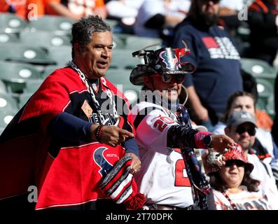 Cincinnati, États-Unis. 12 novembre 2023. Les fans de football encouragent les équipes lors du match entre les Texans de Houston et les Bengals de Cincinnati au Paycor Stadium le dimanche 12 novembre 2023 à Cincinnati. Ohio. Photo de John Sommers II/UPI crédit : UPI/Alamy Live News Banque D'Images