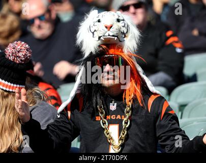 Cincinnati, États-Unis. 12 novembre 2023. Les fans de football encouragent les équipes lors du match entre les Texans de Houston et les Bengals de Cincinnati au Paycor Stadium le dimanche 12 novembre 2023 à Cincinnati. Ohio. Photo de John Sommers II/UPI crédit : UPI/Alamy Live News Banque D'Images